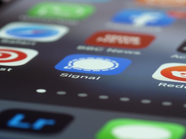 Unleash efficiency with stylish free notion templates